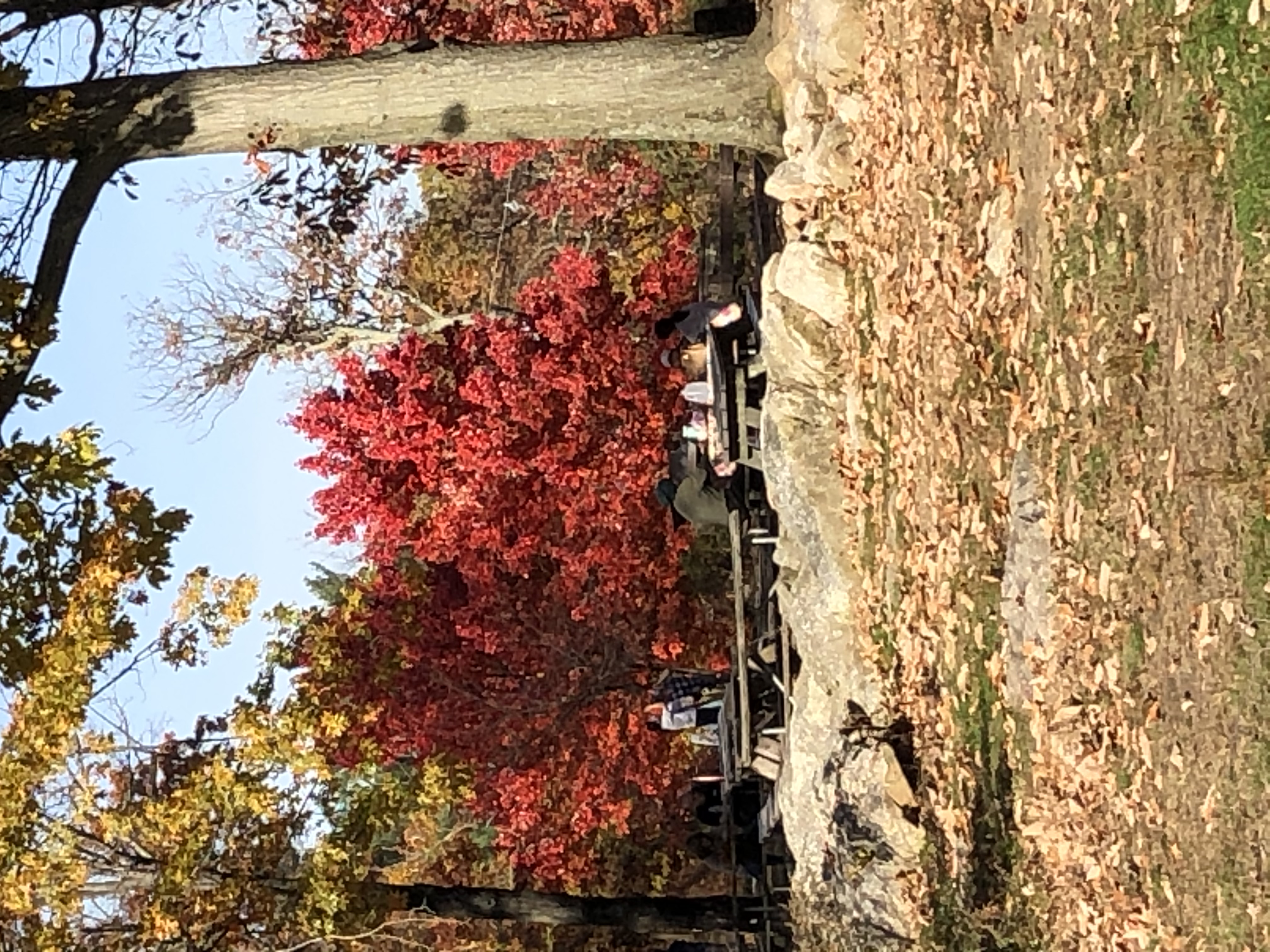 Fall at Bear Mountain