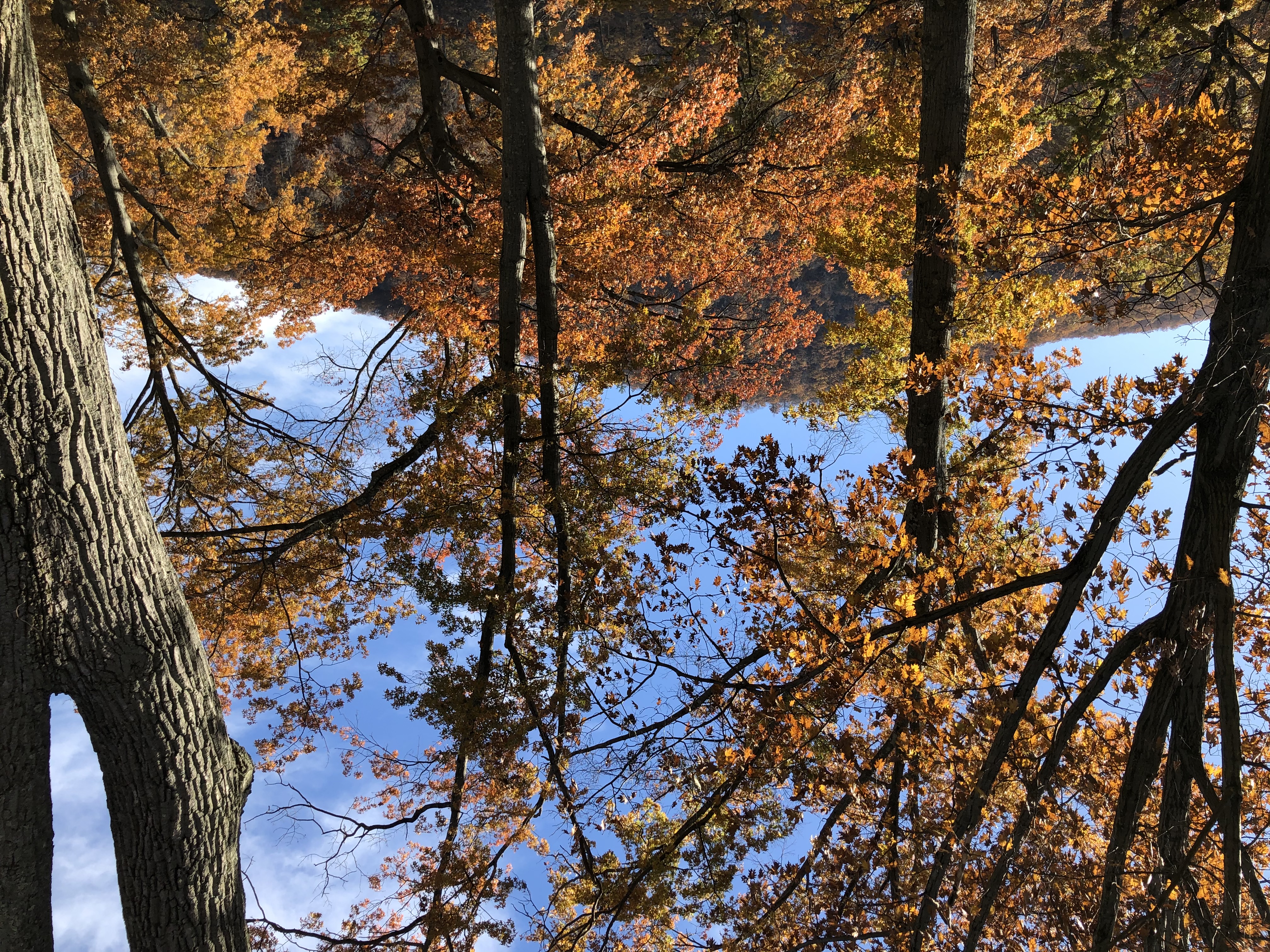 Fall at Bear Mountain